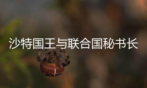 沙特國王與聯合國秘書長舉行會談