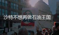 沙特不想再做石油王國 一心想做"海水淡化王國"