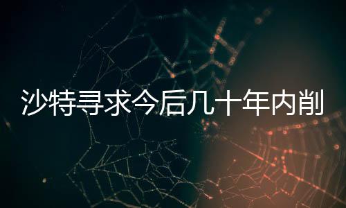 沙特尋求今后幾十年內削減化石燃料使用量