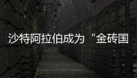 沙特阿拉伯成為“金磚國家”組織正式成員