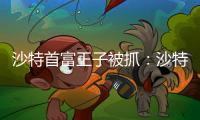 沙特首富王子被抓：沙特掀起反腐風暴