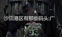 沙田港區有那些碼頭:廣西沙田碼頭