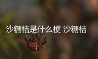 沙糖桔是什么梗 沙糖桔是大的還是小的