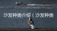 沙發種類介紹（沙發種類）