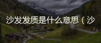 沙發發質是什么意思（沙發發質）