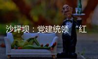 沙坪壩：黨建統(tǒng)領(lǐng) “紅巖家醫(yī)服務(wù)” 讓群眾健康有“醫(yī)”靠