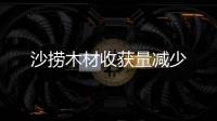 沙撈木材收獲量減少