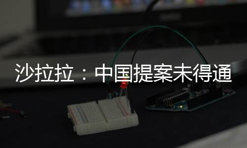 沙拉拉：中國(guó)提案未得通過(guò) 將在美國(guó)推動(dòng)乒乓球