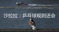 沙拉拉：乒乓球規(guī)則還會改變 或?qū)⑿Х戮W(wǎng)球賽制