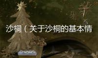 沙桐（關(guān)于沙桐的基本情況說明介紹）