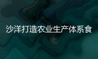 沙洋打造農業生產體系食品之鄉和玻璃建材之城,企業新聞
