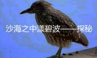 沙海之中漾碧波——探秘世界遺產(chǎn)巴丹吉林沙漠—沙山湖泊群