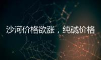 沙河價格欲漲，純堿價格再降,行業資訊