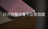 沙河將整合骨干企業組建大型玻璃集團,行業資訊