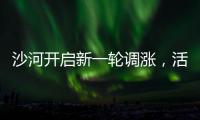 沙河開啟新一輪調漲，活躍市場氣氛為主,行業資訊