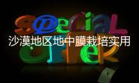 沙漠地區地中膜栽培實用技術研究