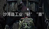 沙灣縣工業(yè)“輕”“重”趨于平衡,行業(yè)資訊