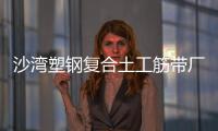 沙灣塑鋼復合土工筋帶廠家采購供應