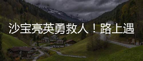 沙寶亮英勇救人！路上遇車禍鉆車將被困人員拉出，善舉獲贊無數