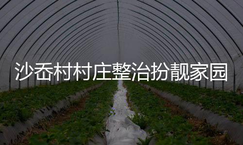 沙岙村村莊整治扮靚家園