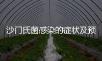 沙門氏菌感染的癥狀及預防措施,如何有效治療沙門氏菌感染