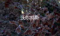 沃爾特斯