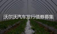 沃爾沃汽車發行債券募集2.15億美元資金