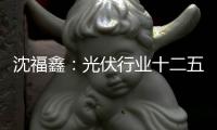 沈福鑫：光伏行業(yè)十二五之內(nèi)難有好轉(zhuǎn),行業(yè)資訊