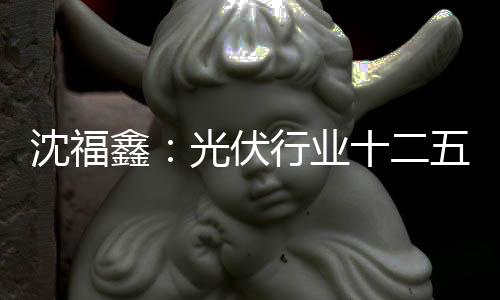 沈福鑫：光伏行業(yè)十二五之內(nèi)難有好轉(zhuǎn),行業(yè)資訊
