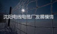 沈陽電線電纜廠發展模情況