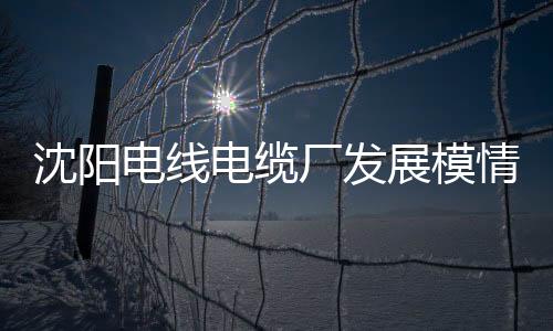 沈陽電線電纜廠發展模情況