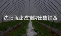 沈陽商業城掛牌出售鐵西百貨、商業城百貨 并發行股份購買崇德物業