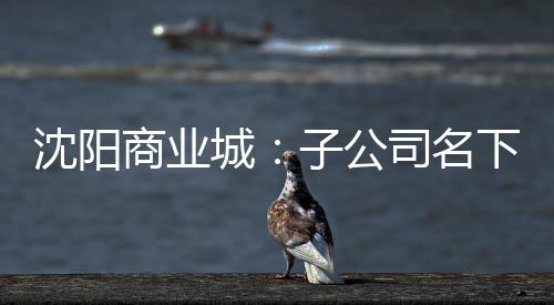 沈陽商業城：子公司名下商業城中街門店將被司法拍賣 底價11.52億元