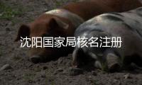 沈陽國家局核名注冊