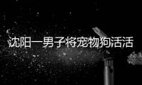 沈陽一男子將寵物狗活活拖行致死
