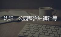 沈陽一公園整治鉆褲襠等不雅舞姿！網友：應該整治??！