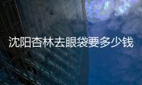 沈陽杏林去眼袋要多少錢？