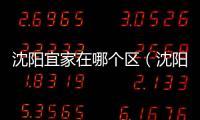 沈陽宜家在哪個區（沈陽宜家）