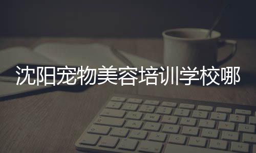 沈陽寵物美容培訓(xùn)學(xué)校哪家好(沈陽寵物托運公司)