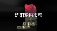 沈陽寵物市場(chǎng)