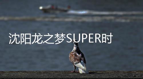 沈陽龍之夢SUPER時尚奧萊+1月18日開業(yè) 打造歡樂奧萊+五大文旅主題