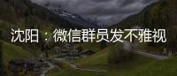 沈陽：微信群員發不雅視頻 群主不管理被刑拘