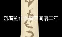 沉著的什么填空詞語二年級（沉著的什么填空）