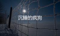 沉睡的瘋狗