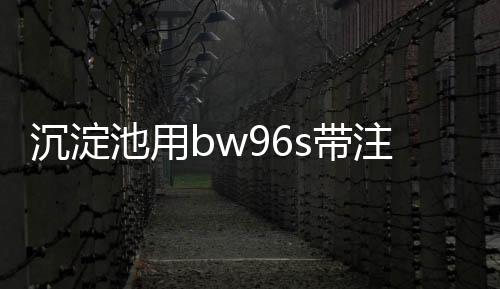 沉淀池用bw96s帶注漿管膩子止水條安裝