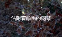 沾附著鬃毛的鋼琴