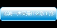 滄海一聲笑是什么歌（滄海笑是什么歌）