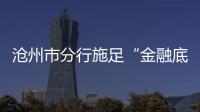 滄州市分行施足“金融底肥”護航糧食安全