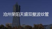 滄州榮陽天盛雙壁波紋管規格等級品種齊全