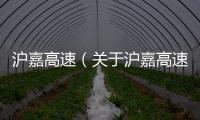 滬嘉高速（關(guān)于滬嘉高速的基本情況說(shuō)明介紹）